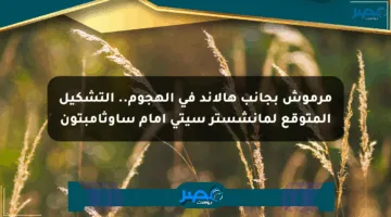 مرموش بجانب هالاند في الهجوم.. التشكيل المتوقع لمانشستر سيتي أمام ساوثامبتون